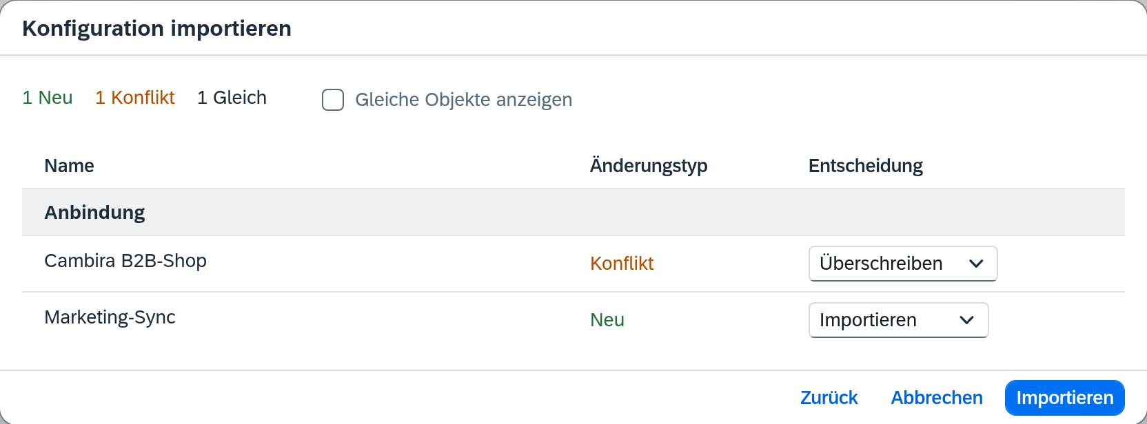 Import-Dialog Schritt 2: Konfliktliste